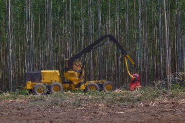 Poster - Logging Equipment Forestry Machine