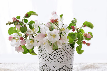 Wall Mural - spring apple blossoms in vase isolated on white