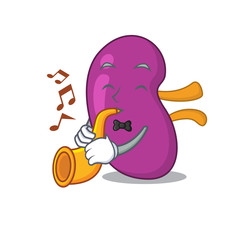 Wall Mural - Kidney musician of cartoon design playing a trumpet