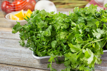 Wall Mural - A view of a metal tray full of several bundles of fresh cilantro.