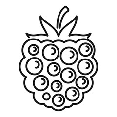 Poster - Blackberry product icon. Outline blackberry product vector icon for web design isolated on white background