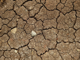 Canvas Print - drought ground with crack texture