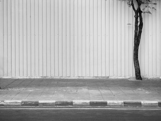 Poster - tree on footpath black and white style