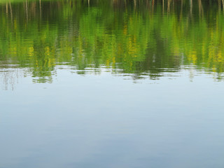 Poster - reflection in water, blur of tree and blue sky