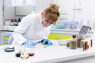 Wall Mural - Chemist working with terpene CBD crystals in laboratory