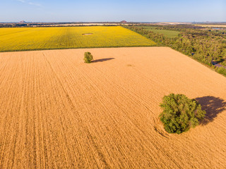 Beautiful drone view from above on the border between two fields