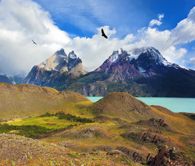 Canvas Print - Andean condors fly over the lake Pehoe