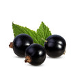 Black currants with leaves isolated on white background with clipping path