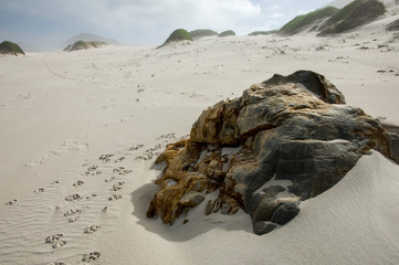 Wall Mural - stones and pepples at beach south africa