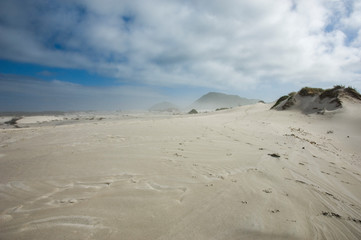 Wall Mural - foggy landscape at misty cliffs south africa