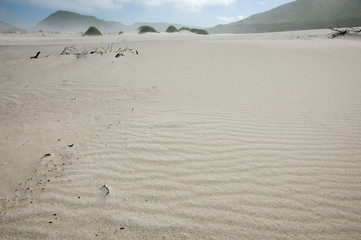 Wall Mural - footprints in the sand misty cliffs south africa