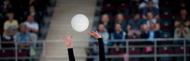 Wall Mural - Girl Volleyball player and setter setting the ball for a spiker during a game..