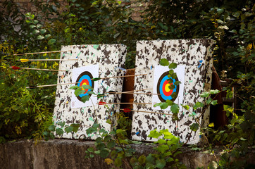 2 boards with targets for archery stand on a concrete support next to green bushes. Exercise focus and hit the target. Goal Achievement