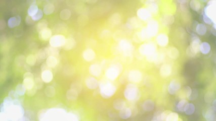 abstract bokeh background