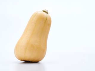 Wall Mural - Butternut squash on white background.