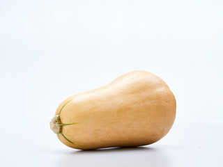 Wall Mural - Butternut squash on white background.