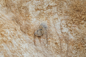 Wall Mural - Nature background of cracked dry lands. Natural texture of soil with cracks. Broken clay surface of barren dryland wasteland close-up. Full frame to terrain with arid climate. Lifeless desert on earth