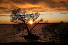 Wild Sunset On The Lake.Through The Branches Of The Tree, A View Of The Intensely Burning Sky With Continuous Clouds Of Mixed Dark Colors Over The Lake.A Bright Horizon Divides The Darkness.Russia