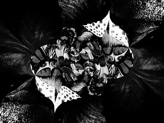 Poster - Black and white abstract background.