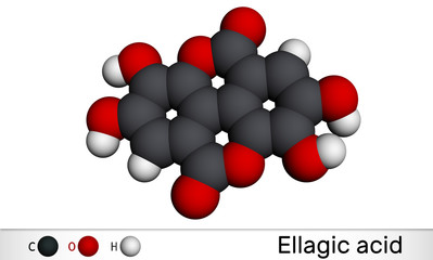 Sticker - Ellagic acid, C14H6O8 molecule. It is natural phenol antioxidant, dietary supplement. Molecular model