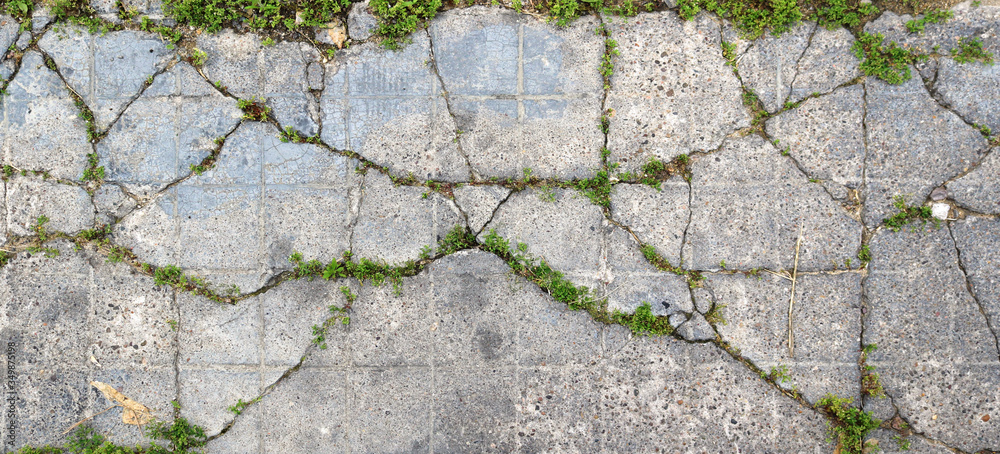 old cracked and weathered broken floor of cement and stone, with grass and moss growing - rough texture background	