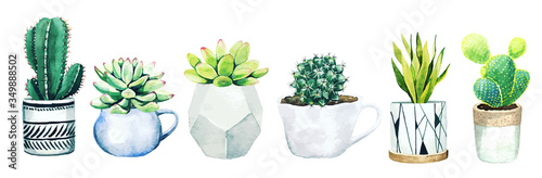 Fotomural Set of six potted cactus plants and succulents, hand drawn vector