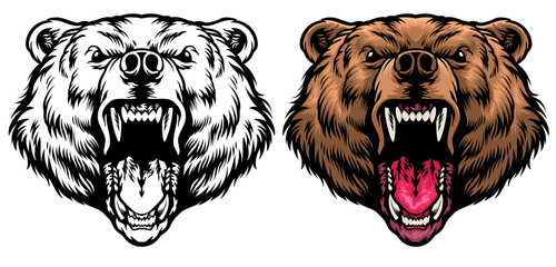 Wall Mural - angry grizzly head roaring