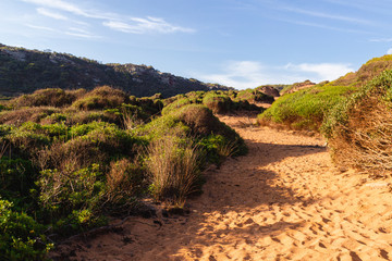 landscape path that leads to beach del pilar in menorca (balearic islands, spain)