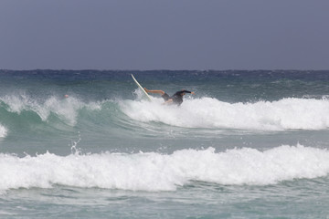 Boy trains surfing in the waves of the sea