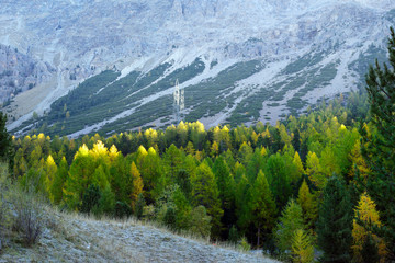 Wall Mural - Power line in the Alps.