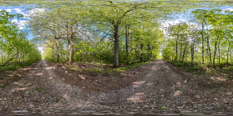 Wall Mural - full seamless spherical hdri panorama 360 degrees angle view on no traffic gravel road among tree alley in summer day in equirectangular projection, ready  VR AR virtual reality content