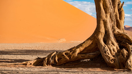 Abstract tree trunk against orange sand dunes, desert landscape in Namib-Naukluft National Park Namibia, Africa