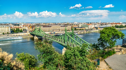 Wall Mural - Liberty bridge from above