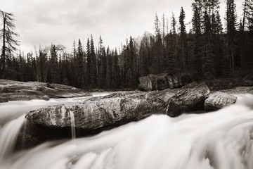 Poster - Waterfall