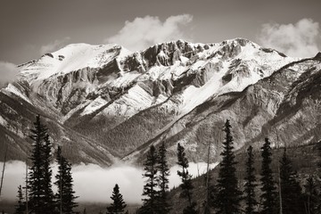 Wall Mural - Jasper National Park Canada