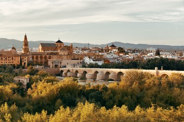 Wall Mural - Cordoba skyline