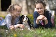 © muro - two girls playing with dog in grass