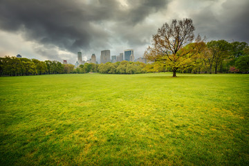 Wall Mural - Central park at rainy day, New York City, USA