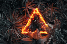3d Rendering Of Triangle Shape In Fire Over Tropical Plants. Flat Lay Of Minimal Nature Style Concept