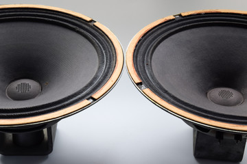 an Antique Soviet woofer 5gd-3 from vintage acoustics Symphony.