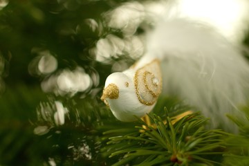 Beautiful photo of a glass Christmas ornament in the shape of a bird with a tail made of real feathers on a Christmas live real fir, spruce tree