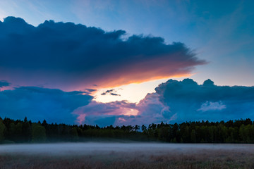 Wall Mural - dangerous, dramatic evening storm passing over the forest