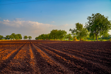 landscape of a plowed field ready for sowing