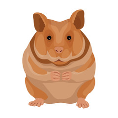 Wall Mural - Hamster vector icon.Cartoon vector icon isolated on white background hamster.