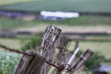 Close-up Of Weathered Wooden Post Fence In Field