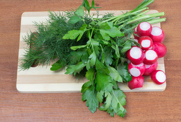 cilantro dill and radish lie on the board