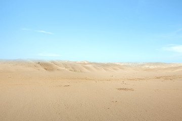 Sticker - Views of sand dune