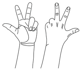 Wall Mural - hands showing gesture of count three using thumb, index and middle fingers. vector illustration in o