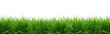 Banner - Saftig grünes Gras freigestellt