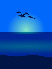 Wall Mural - Seagull silhouettes on sea scene view background
